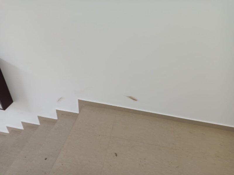 Amenajari case, apartamente.