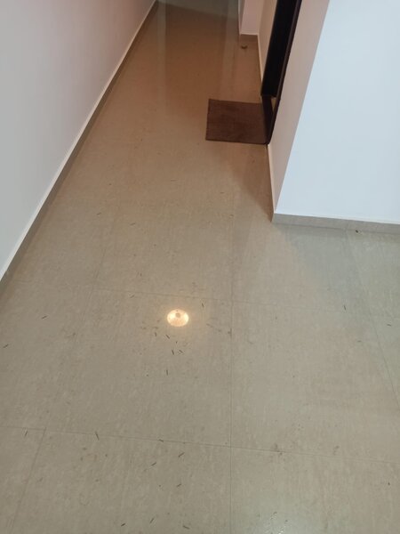 Amenajari case, apartamente.